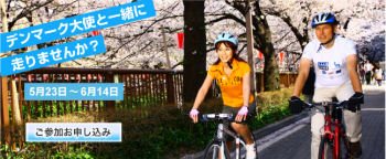 �ǥ�ޡ�����Ȥ����������������������