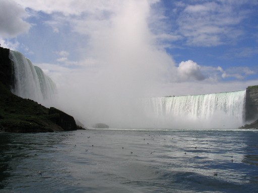 �̿����������ʤ�����