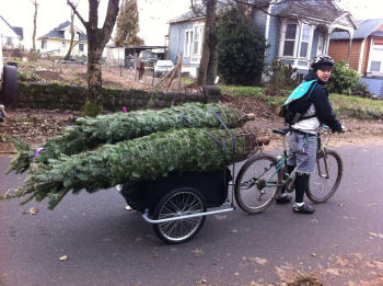 Trees By Bike, treesbybike.com