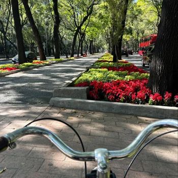 BikeABQ