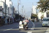 横付け自転車のいただきさん