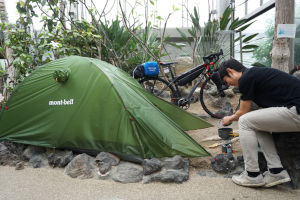 ��ž�֥�����