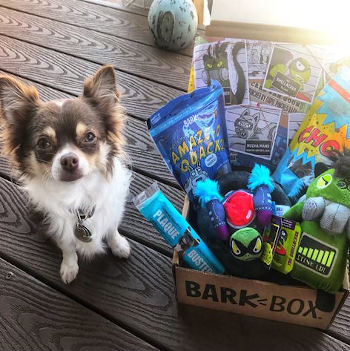 BarkBox