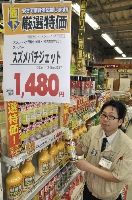 スズメバチ要警戒
