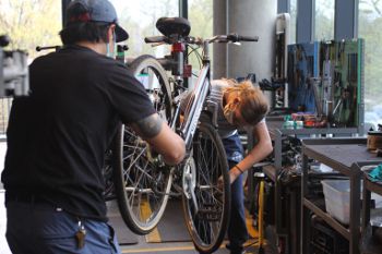 Phoenix Bikes
