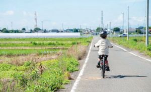 ��ž�ֻ���