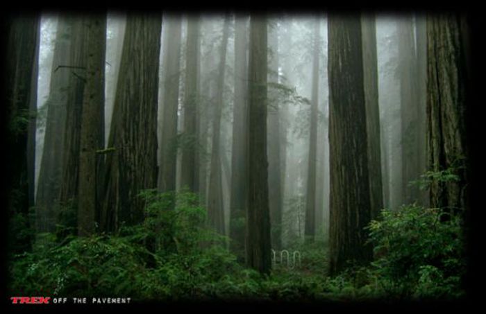 Trek Mountain Bikes, adsoftheworld.com