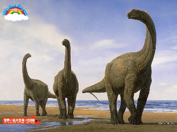 �����ε��網ε�������