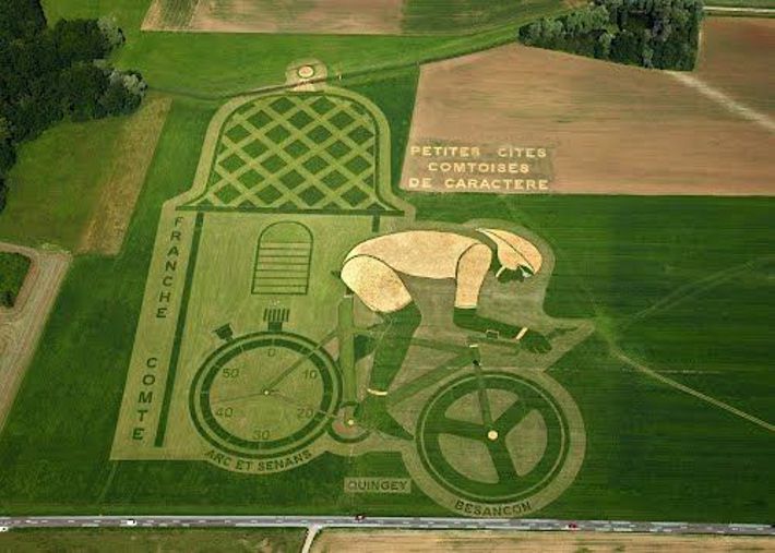 Field Art