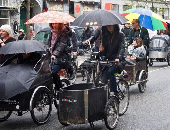 Cargo Bike