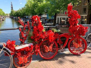 flowerbikeman