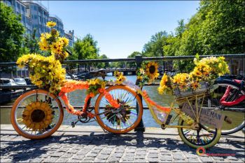 flowerbikeman