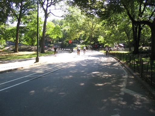 ��������ϩ