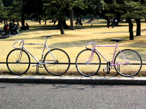 最初に感じる自転車の違和感 サイクルロード 自転車への道