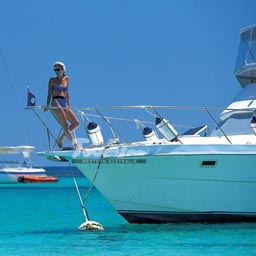 ���åȥͥ�����