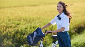 ��˴����