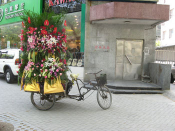 Photo by bricoleurbanism,licensed under the Creative Commons Attribution ShareAlike 3.0 Unported.