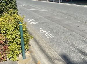 ��ƻ����