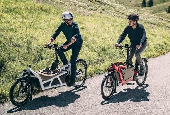 RIESE & MULLER LOAD 60
