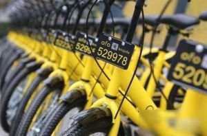 ofo