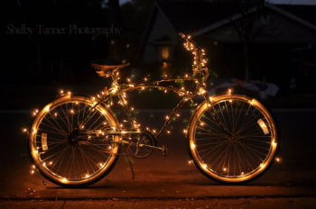 Christmas, www.1designperday.com