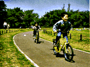 公園