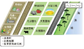 ����Ū�ʥ����˥�