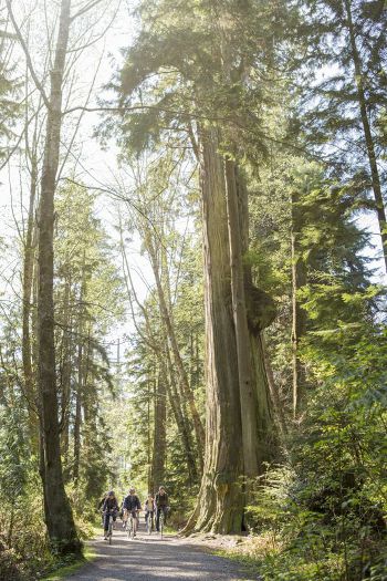 Cycle City Tours Vancouver