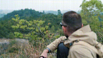 QIDI Vida