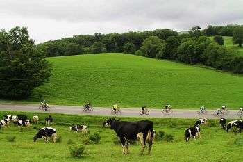 Farm to Fork Fondo