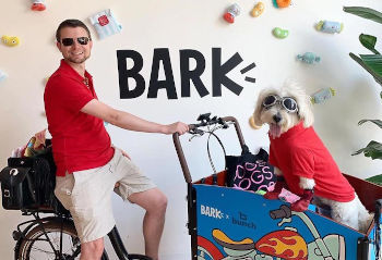 Cargo Bike for Dogs