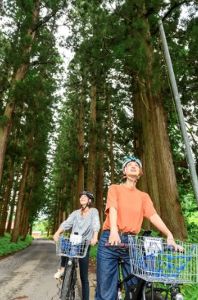 ���������ϰ�