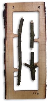 forrest building kit, www.053ontwerp.nl