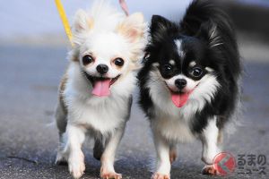 ���λ���