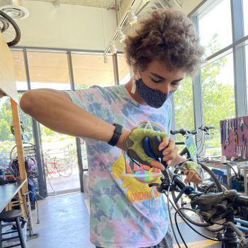 Phoenix Bikes