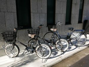 ��ž�֥�����