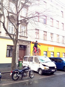 bicycle-culture