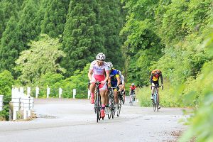 �����饤����