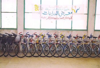 �����ץ�