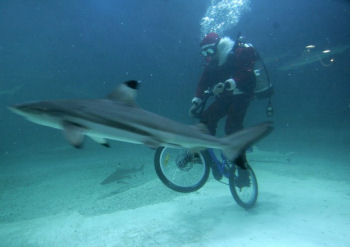 Photo from Reuters Pictures