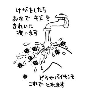まず洗う