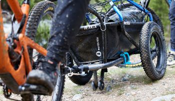 MULE