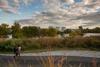 GREENWAY STIMULUS