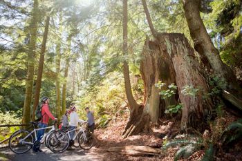 Cycle City Tours Vancouver