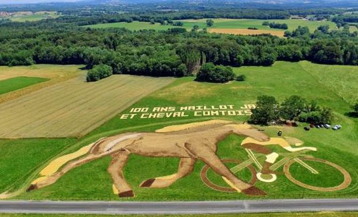 Field Art
