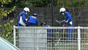 ���Ѥ���