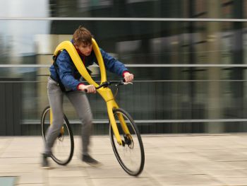 FLIZ, theflizbike.com