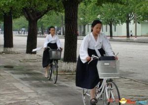 ��ž�ֶػ�����