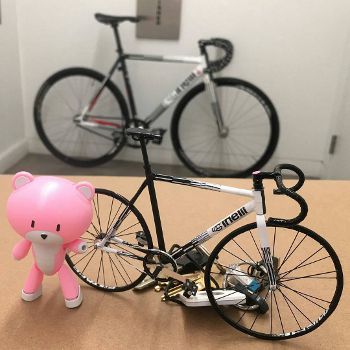 Bicycle Miniature Maniac
