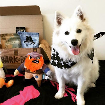 BarkBox
